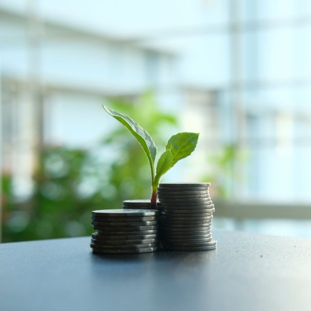 שיווק דיגיטלי לעסק שלי